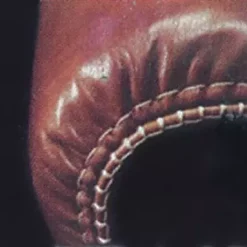 Consew 2040-DSM Sewing Machine With Table And Servo Motor | GoldStar Tool -consew shop 2040 DSM 4